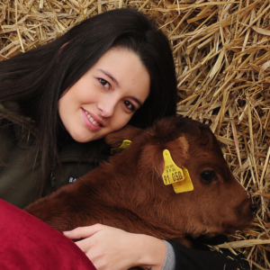 1girl.and.2cows